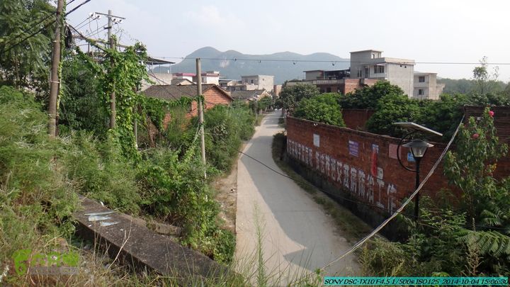 桂海铁路走大圩20141004DSC02719