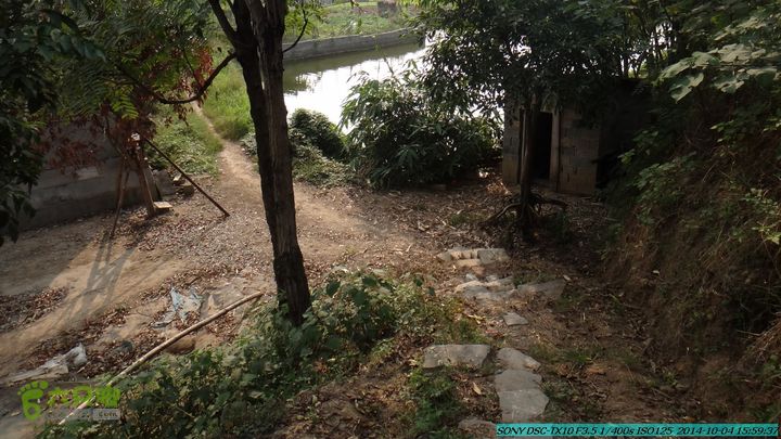 桂海铁路走大圩20141004DSC02737