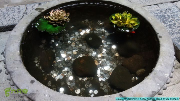 桂海铁路走大圩20141004IMG_20141004_162454