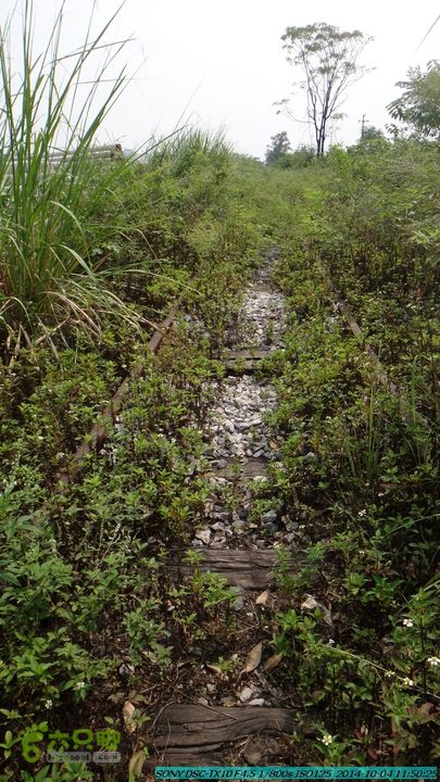 桂海铁路走大圩20141004DSC02618