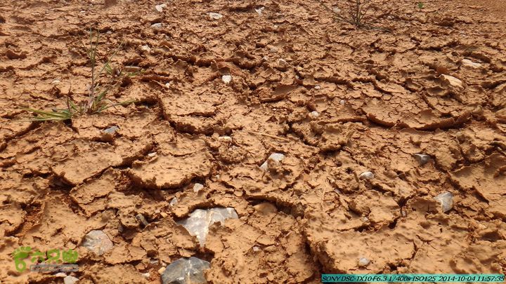 桂海铁路走大圩20141004DSC02624