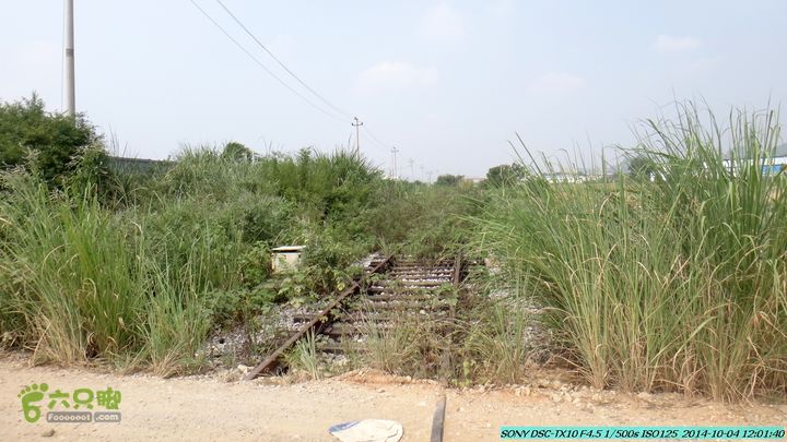 桂海铁路走大圩20141004DSC02629