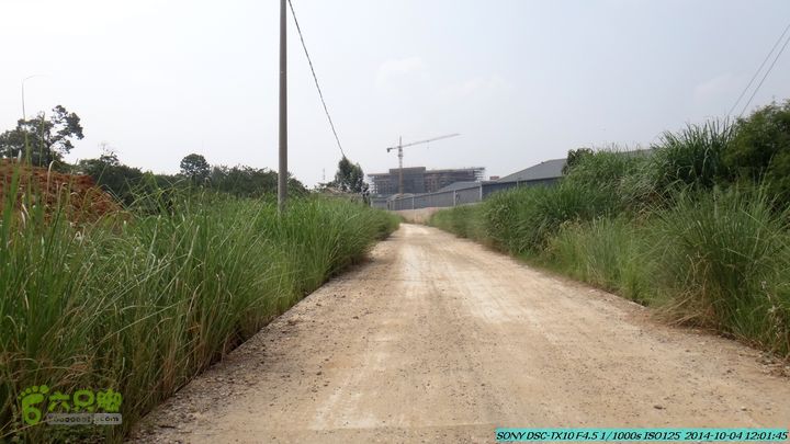 桂海铁路走大圩20141004DSC02630