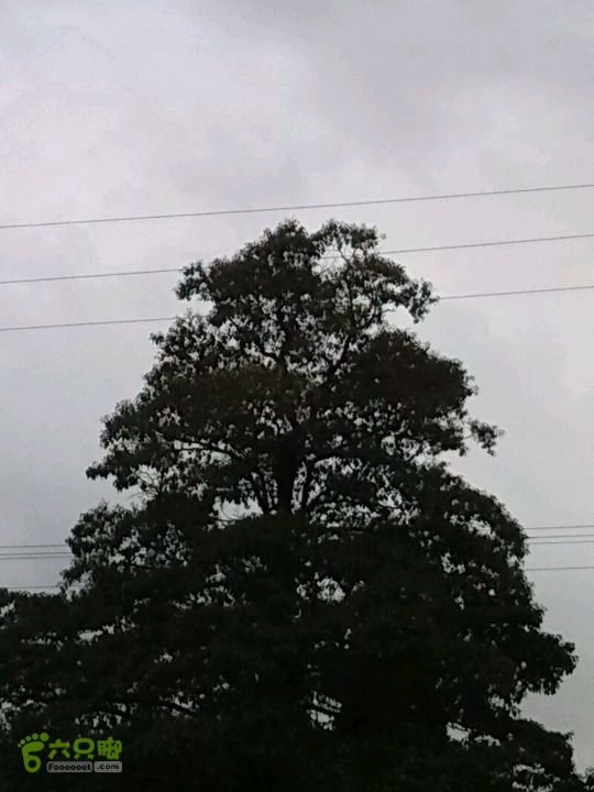 董家河之旅2014-10-05 16:34:29