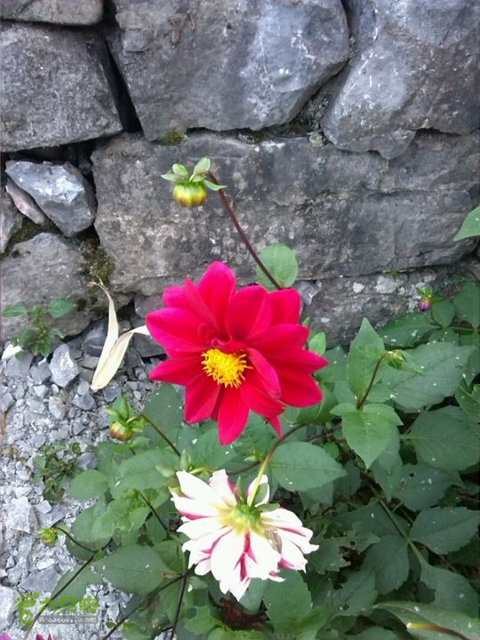 董家河之旅2014-10-05 16:35:36