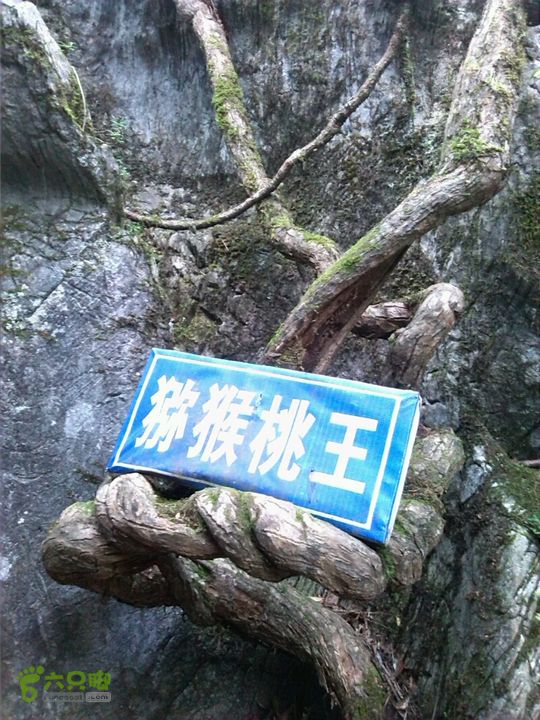 董家河之旅2014-10-05 16:50:29