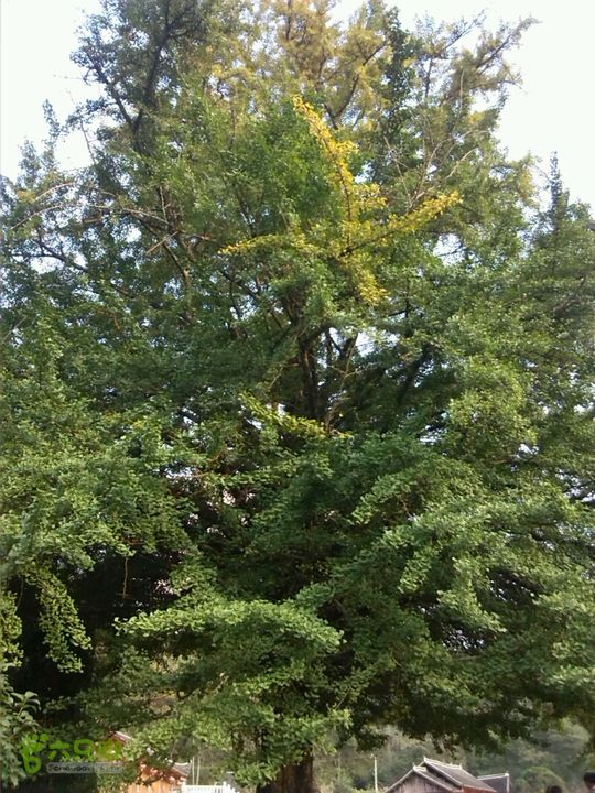 董家河之旅2014-10-05 17:04:01