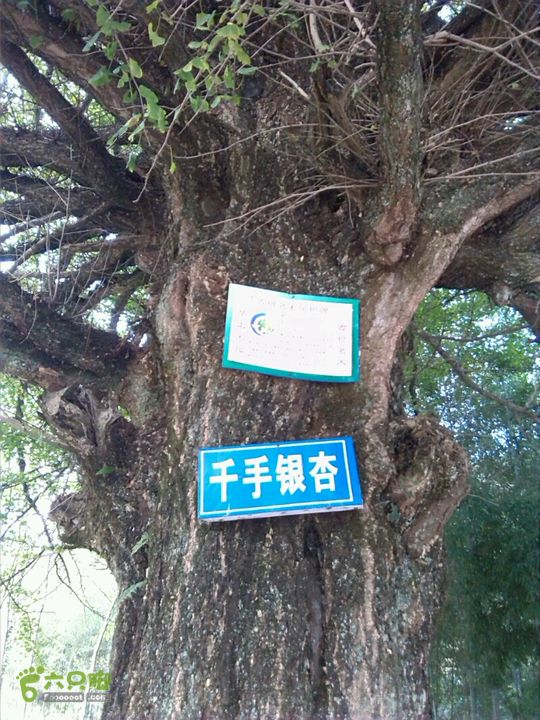 董家河之旅2014-10-05 17:07:03