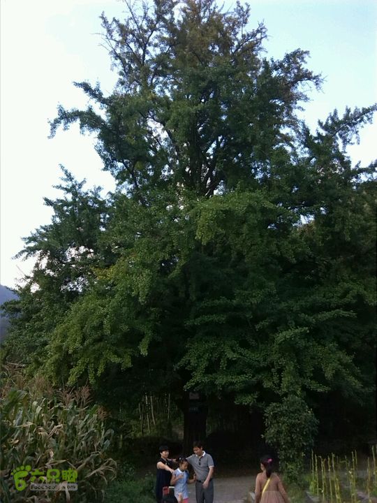 董家河之旅2014-10-05 17:08:38