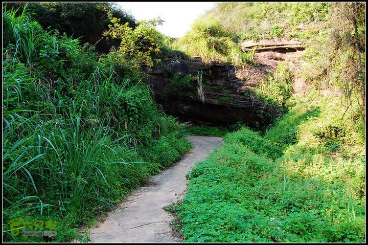 耒阳~安仁~永兴0DSC_2069