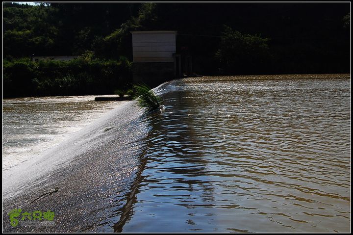耒阳~安仁~永兴0DSC_2081