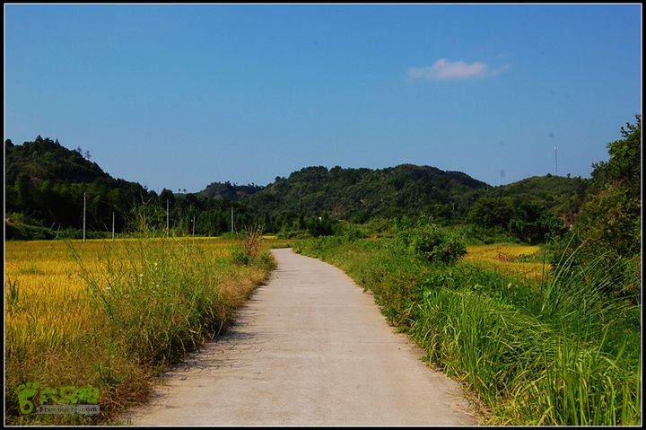 耒阳~安仁~永兴0DSC_2094