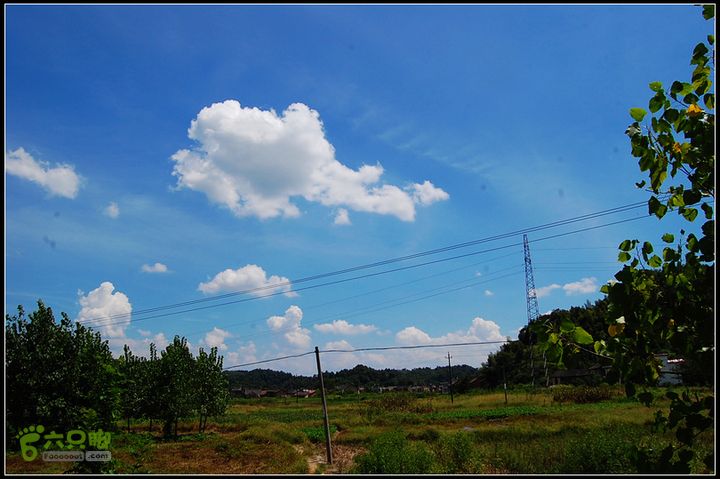 耒阳~安仁~永兴0DSC_2106