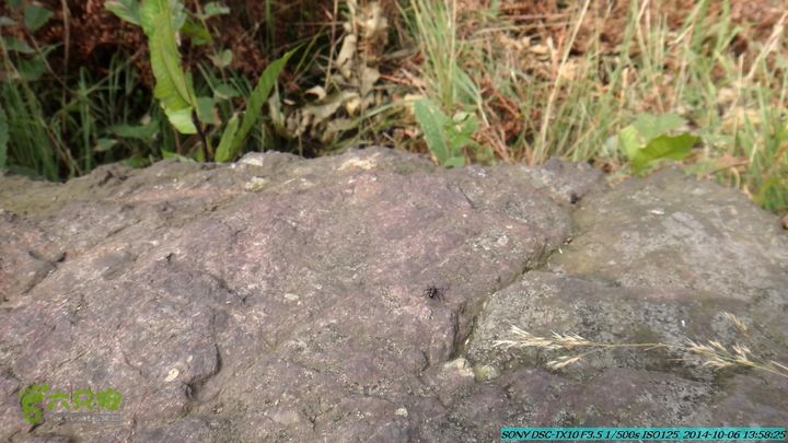 20141006-天子岭-桂林驴先锋户外DSC02856