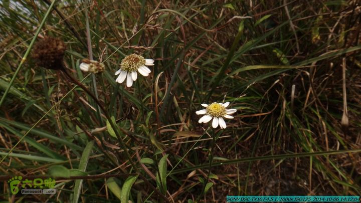 20141006-天子岭-桂林驴先锋户外DSC02865