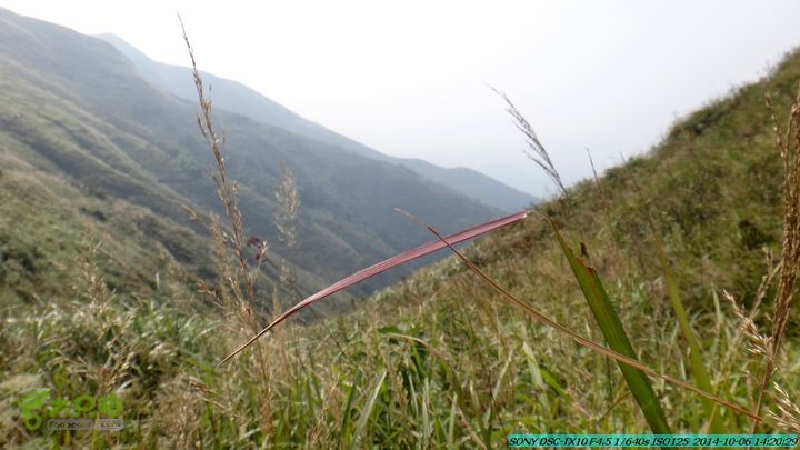 20141006-天子岭-桂林驴先锋户外DSC02867