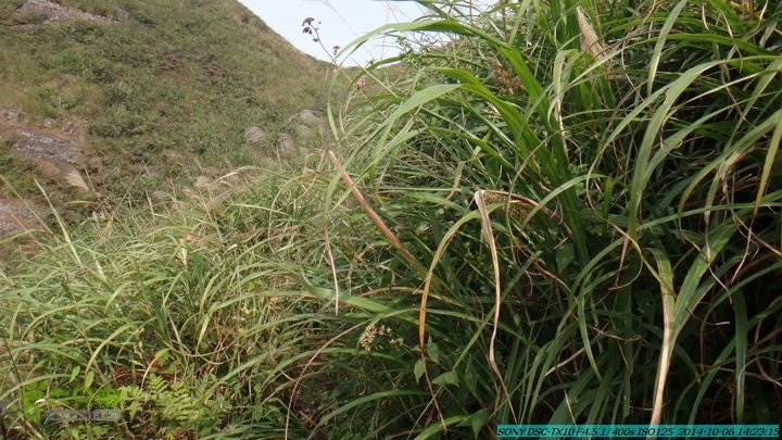 20141006-天子岭-桂林驴先锋户外DSC02869