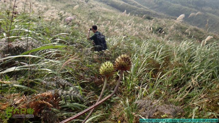 20141006-天子岭-桂林驴先锋户外DSC02874