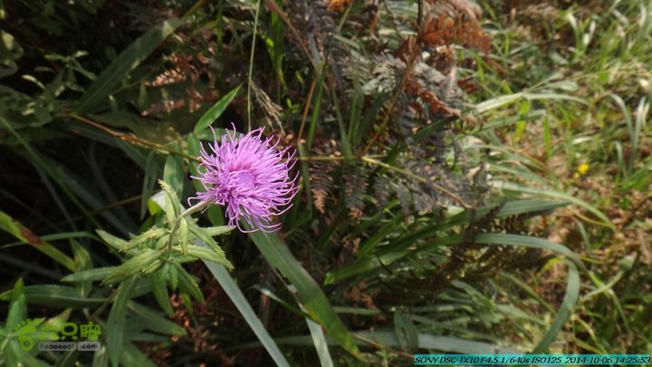 20141006-天子岭-桂林驴先锋户外DSC02875