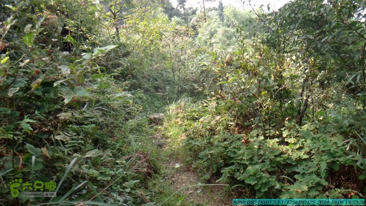 20141006-天子岭-桂林驴先锋户外DSC02884