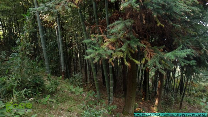 20141006-天子岭-桂林驴先锋户外DSC02885