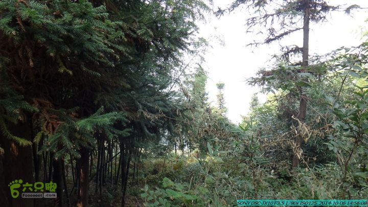 20141006-天子岭-桂林驴先锋户外DSC02886