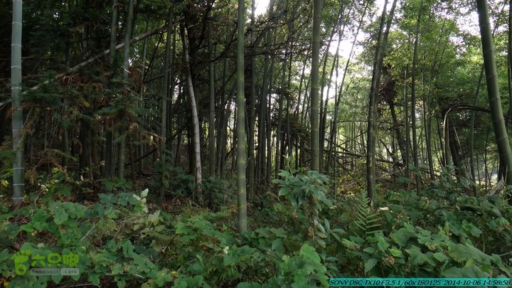 20141006-天子岭-桂林驴先锋户外DSC02888