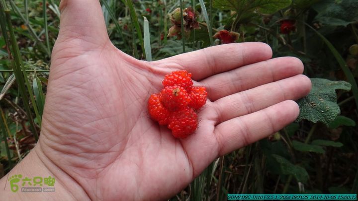 20141006-天子岭-桂林驴先锋户外DSC02889