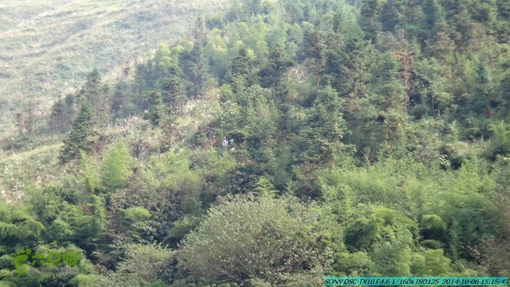 20141006-天子岭-桂林驴先锋户外DSC02895