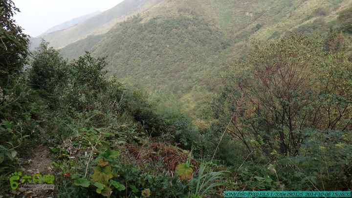 20141006-天子岭-桂林驴先锋户外DSC02898