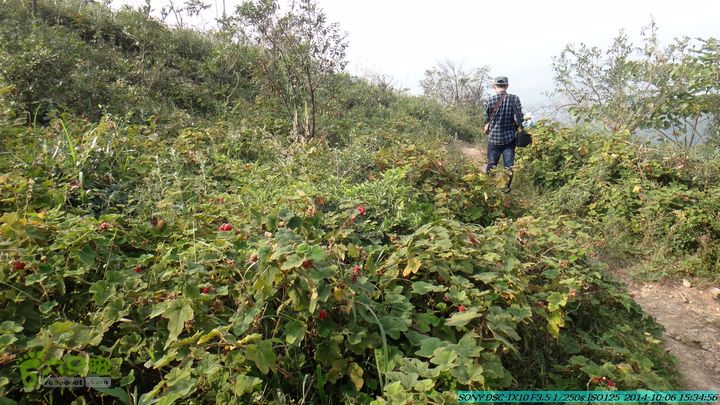 20141006-天子岭-桂林驴先锋户外DSC02900