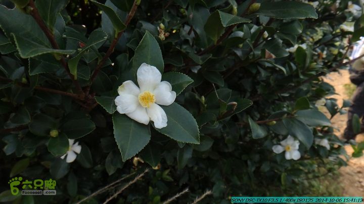 20141006-天子岭-桂林驴先锋户外DSC02901