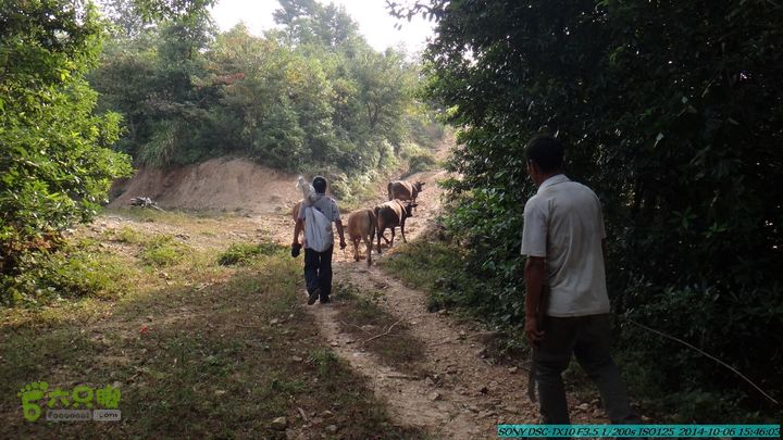 20141006-天子岭-桂林驴先锋户外DSC02905