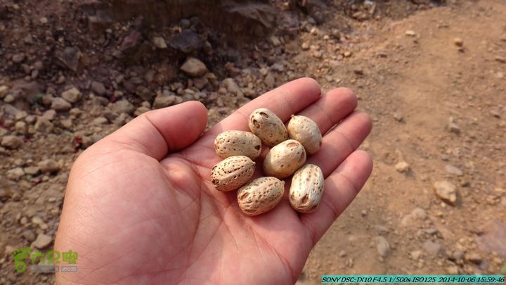 20141006-天子岭-桂林驴先锋户外DSC02906