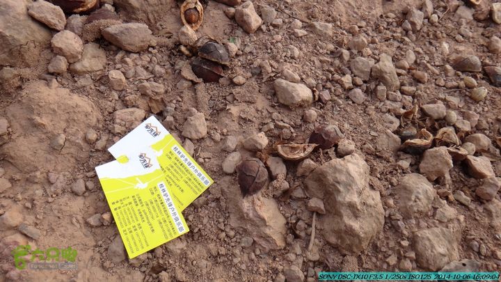 20141006-天子岭-桂林驴先锋户外DSC02913