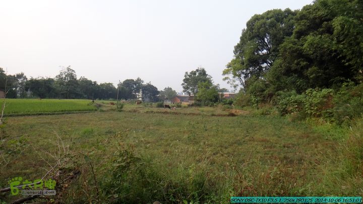 20141006-天子岭-桂林驴先锋户外DSC02923