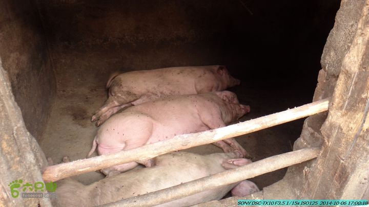 20141006-天子岭-桂林驴先锋户外DSC02926