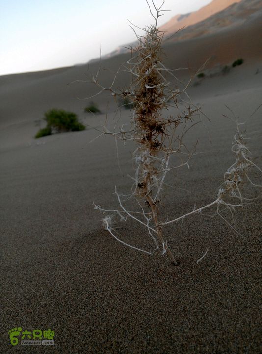巴丹吉林沙漠穿越2014-09-19 18:54:29