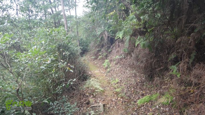 董村姚家徐凫岩三下六弯三隐潭妙高台千长岩穿越规迹DSC09227