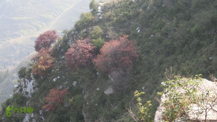 正穿岳阳CIMG6386