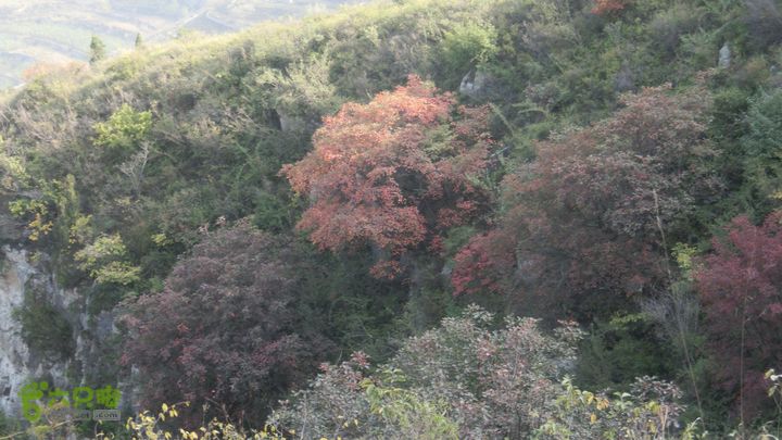 正穿岳阳CIMG6405