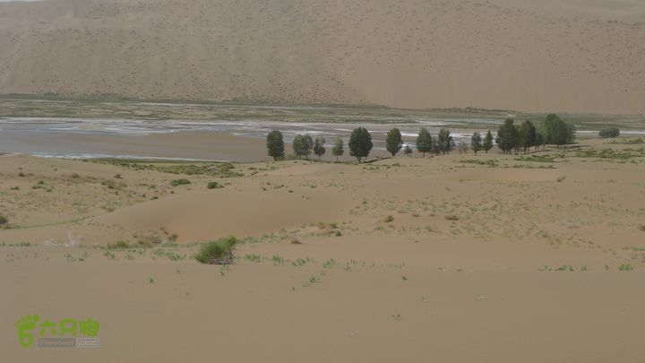 巴丹吉林沙漠腹地穿越L1020623
