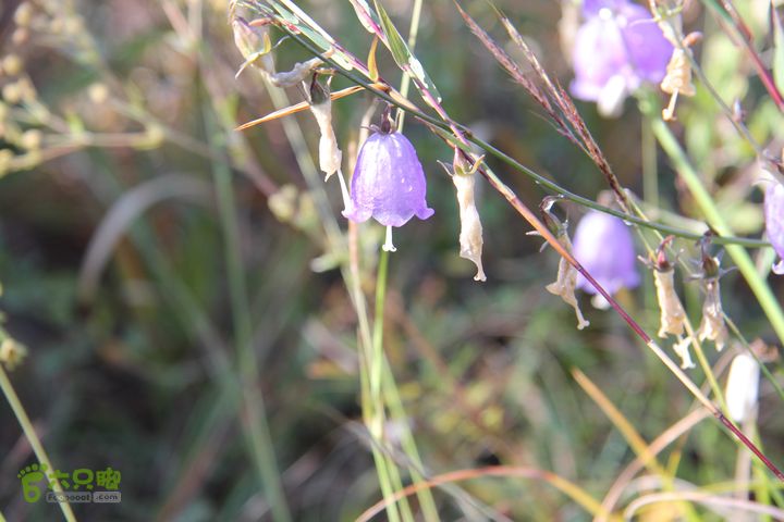 北京箭扣长城（内含司马台云海图片）司马台图片