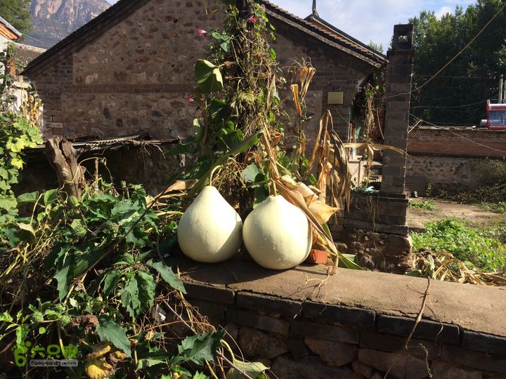 北京箭扣长城（内含司马台云海图片）司马台图片