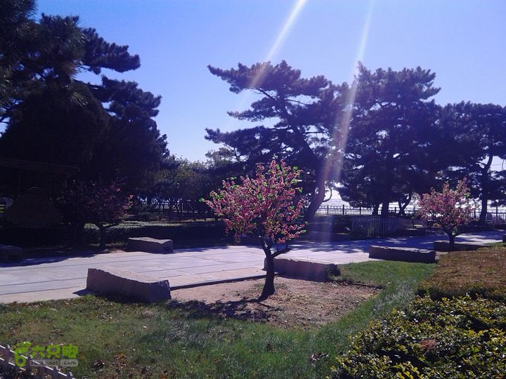 南戴河北戴河海边散步IMG_20141013_103001