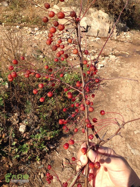吴家沟—天桥沟—小五台山2014-10-18 09:25:26