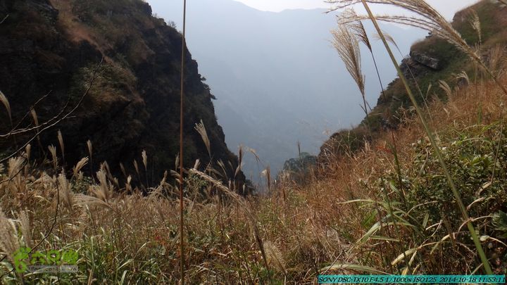 20141018-沙江(沙岗)-东山-殿塘寺-桂林驴先锋户外DSC03036