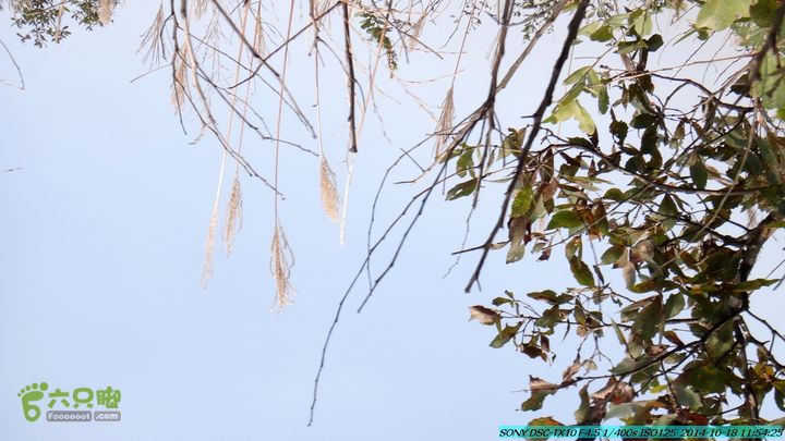 20141018-沙江(沙岗)-东山-殿塘寺-桂林驴先锋户外DSC03043