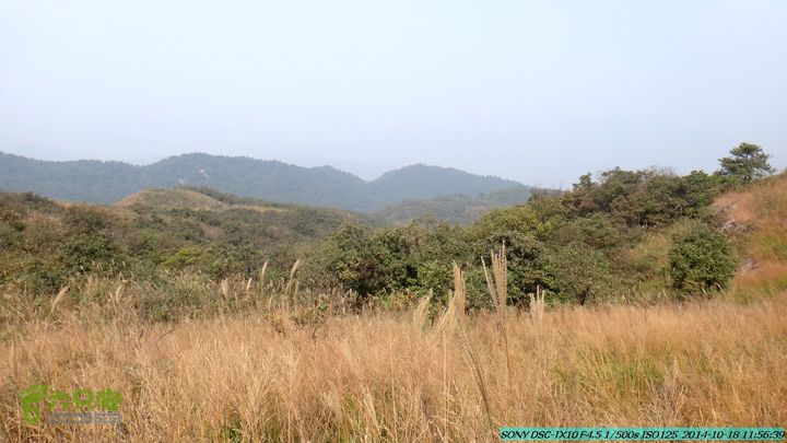 20141018-沙江(沙岗)-东山-殿塘寺-桂林驴先锋户外DSC03045