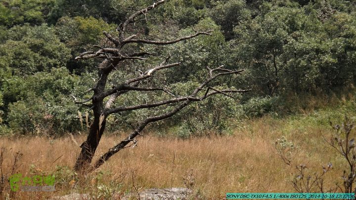 20141018-沙江(沙岗)-东山-殿塘寺-桂林驴先锋户外DSC03055